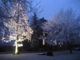 Für die Adventsfeier beleuchteter Baum