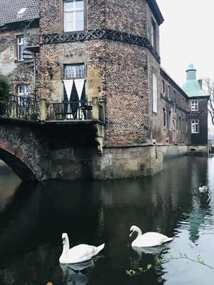 Foto mit zwei Schwänen in der Gracht von Schloss Bladenhorst