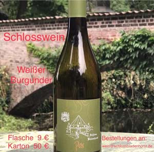 Foto vom neuen Schlosswein
